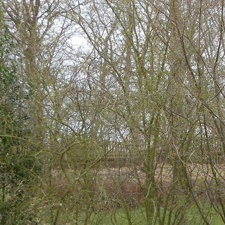 Freesteil Hohwacht Bagian luar foto