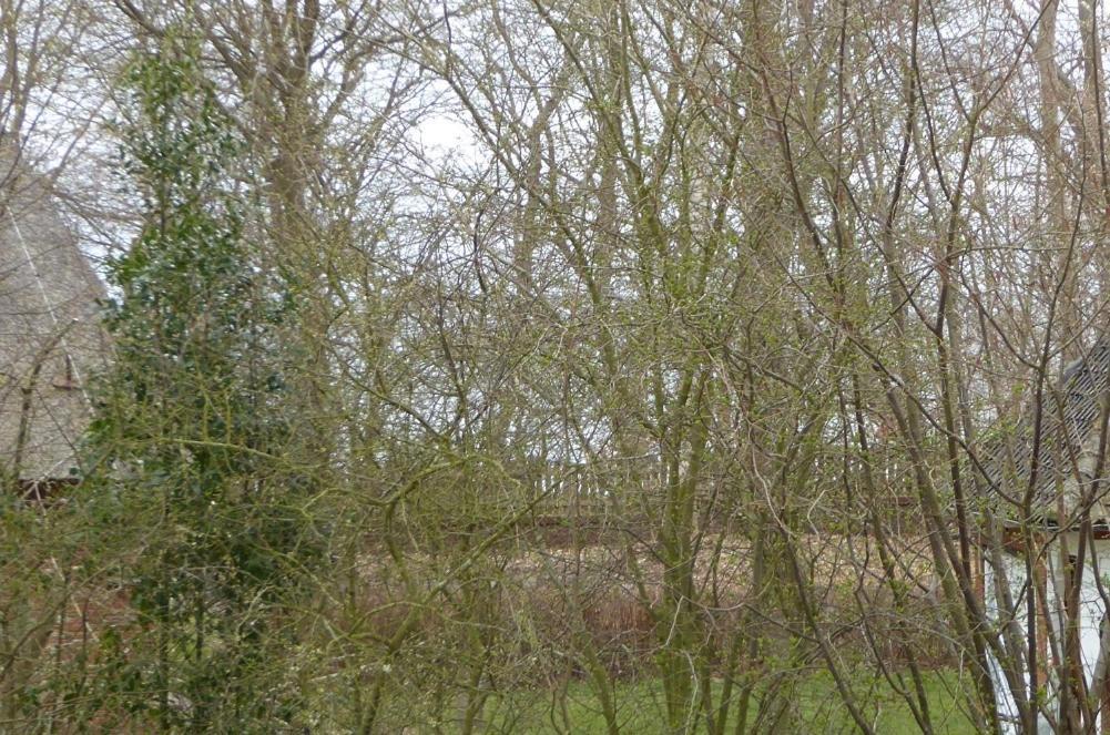 Freesteil Hohwacht Bagian luar foto